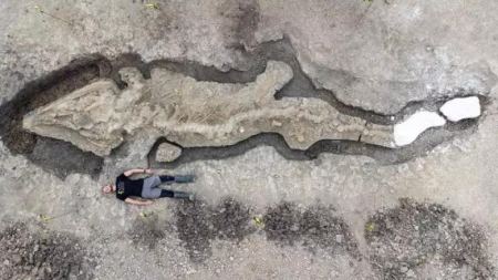 " الإكثيوصور " .... اكتشاف أحفوري في بريطانيا